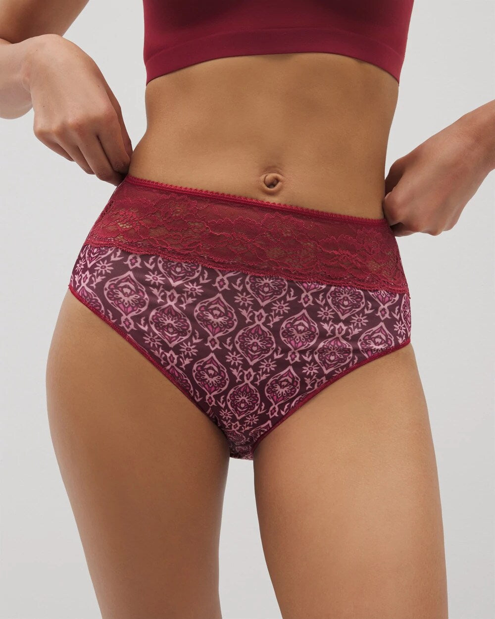 Vanishing Edge Microfiber Modern Brief Panty with Lace - PLENTIFUL PIECES KISS | Soma Women