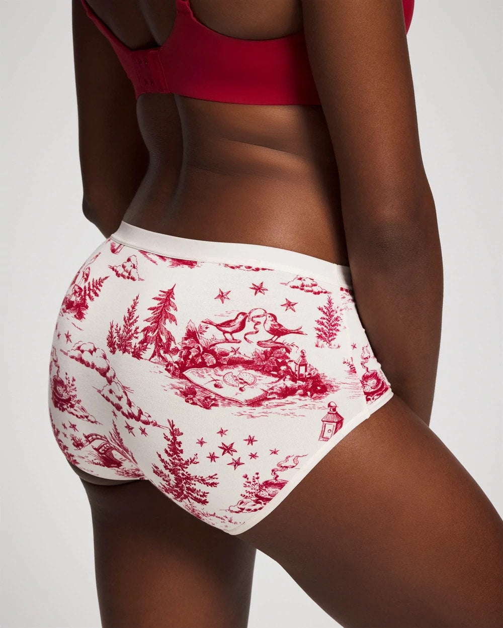 Cotton Modern Brief Panty - ENCHANTED TOILE CHAMPAGNE | Soma Women